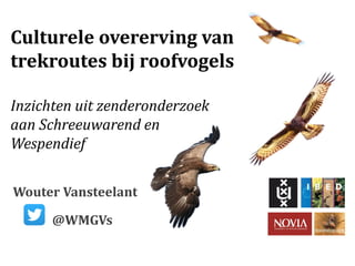 Culturele overerving van
trekroutes bij roofvogels
Inzichten uit zenderonderzoek
aan Schreeuwarend en
Wespendief
Wouter Vansteelant
@WMGVs
 