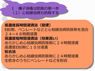 １　種子消毒は防除の第一歩
 （２）心枯線虫病も防除する


低濃度長時間浸漬法（簡便）
EBI剤、ベンレートなどと心枯線虫病防除剤を混合
２４~４８時間浸漬
高濃度短時間浸漬法（効果高い）
あらかじめ心枯線虫病防除剤に２４時間浸漬
高濃度EBI剤に１０分浸漬
粉衣法
あらかじめ心枯線虫病防除剤に２４時間浸漬
生乾きのうちにベンレートなどを粉衣
 