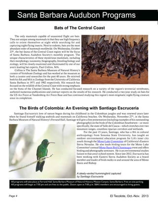 El Tecolote, Oct.-Nov. 2013Page 4
Santa Barbara Audubon Programs
All programs will take place at Farrand Hall, Santa Barbara Museum of Natural History, Mission Canyon, Santa Barbara. Free on-site parking.
All programs will begin at 7:30 pm and are free to the public. Doors open at 7:00 p.m. SBAS members are encouraged to bring guests.
Bats of The Central Coast
	 The only mammals capable of unassisted flight are bats.
They are unique among mammals in that they use high frequency
calls to orient themselves at night while searching for and
capturing night-flying insects. Next to rodents, bats are the most
abundant order of mammals worldwide. On Wednesday, October
23th
, the bat fauna of the Central Coast region will be the focus
of Santa Barbara Audubon Society’s monthly program. The
unique characteristics of these mysterious mammals, including
their morphology, taxonomy, biogeography, breeding biology and
ecology, will be closely examined and illuminated by one of our
area’s leading bat experts, Paul Collins, MA.
	 Collins is The Santa Barbara Museum of Natural History’s
curator of Vertebrate Zoology and has worked at the museum as
both a curator and researcher for the past 40 years. He received
both his BA and MA in Zoology from the University of California
Santa Barbara in 1971 and 1982 respectively. His research has
focused on the wildlife of the Central Coast with strong emphasis
on the biota of the Channel Islands. He has conducted focused research on a variety of the region’s terrestrial vertebrates,
authored numerous publications and contract reports on the results of his research. He conducted a two-year study on bats for
the US Air Force at Vandenberg Air Force Base and has continued studying this region’s most enigmatic night-flying creature
since its completion.
The Birds of Colombia: An Evening with Santiago Escruceria
	 Santiago Escruceria’s love of nature began during his childhood in the Colombian jungles and was renewed years later
when he found himself stalking seabirds and mammals on California beaches. On Wednesday, November 27th
, in the Santa
Barbara Museum of Natural History’s Ferrand Hall, Santiago will give a free presentation (including examples of his outstanding
photography) on the birds of the Colombian Southwtest––or more
specifically, the state of Valle del Cauca––which stretches over two
mountain ranges, countless riparian corridors and wetlands.
	 For the past 15 years, Santiago, who has a BA in cultural
anthropology from Sonoma State University, has taught an
outdoor environmental education program for LA’s inner city
youth through the Mono Lake Committee of California’s Eastern
Sierra Nevadas. He also leads birding tours for the Mono Lake
Committee’s annual Mono Basin Bird Chautauqua event and offers
birding and photography seminars. He is an environmental studies
liaison to that area’s school system. Since late 2012, Escruceria has
been working with Eastern Sierra Audubon Society as a board
member and leader of birds walks in and around the area of Mono
Basin and Bishop.
A steely-vented hummingbird captured
by Santiago Escruceria
 