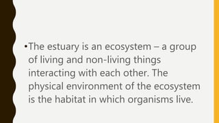 interactions among living things in estuary | PPTX