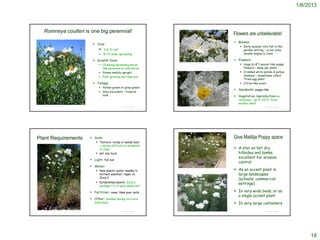 1/6/2013



          Romneya coulteri is one big perennial!                                                                                                                               Flowers are unbelievable!
                                                                                                                                                                                Blooms:
                                                                     Size:
                                                                                                                                                                                   Early summer into fall in the
                                                                            3-8 ft tall                                                                                            garden setting – in our area
                                                                            8+ ft wide, spreading                                                                                  usually begins in June

                                                                     Growth form:                                                                                              Flowers:
                                                                         Clumping/spreading shrub-                                                                                Huge (6-8”) saucer-like poppy
                                                                                                             http://www.calfloranursery.com/pages_plants/pages_r/romcou.html



                                                                          like perennial or sub-shrub                                                                               flowers – many per plant
                                                                         Stems mostly upright                                                                                     Crinkled white petals & yellow
                                                                         Fast-growing and vigorous                                                                                 stamens – sometimes called
                                                                                                                                                                                    ‘fried egg plant’
                                                                     Foliage:                                                                                                     Citrus-like scent
                                                                         Yellow-green to gray-green
                                                                                                                                                                                Seedpods: poppy-like
                                                                         Very succulent – tropical
                                                                          look                                                                                                  Vegetative reproduction:via
                                                                                                                                                                                 rhizomes – up to 20 ft. from
                                                                                                                                                                                 mother plant
http://www.calfloranursery.com/pages_plants/pages_r/romcou.html
                                                                                           © Project SOUND                                                                                          © Project SOUND




Plant Requirements                                                 Soils:                                                                                                     Give Matilija Poppy space
                                                                       Texture: rocky or sandy best
                                                                        – can be difficult to establish
                                                                        in clays                                                                                                A star on hot dry
                                                                       pH: any local                                                                                            hillsides and banks;
                                                                                                                                                                                 excellent for erosion
                                                                   Light: full sun
                                                                                                                                                                                 control
                                                                   Water:
                                                                       New plants: water weekly in
                                                                                                             http://www.gardenology.org/wiki/Romneya                            As an accent plant in
                                                                        hottest weather; taper to                                                                                large landscapes
                                                                        Zone 2                                                                                                   (schools; commercial
                                                                       Established plants: Zone 1;
                                                                                                                                                                                 settings)
                                                                        perhaps 1-2 in very sandy soil

                                                                   Fertilizer: none; likes poor soils                                                                          In very wide beds; or as
                                                                                                                                                                                 a single accent plant
                                                                   Other: dislikes having its roots
                                                                     disturbed                                                                                                  In very large containers
 © 2003 Joseph Dougherty/ecology.org                                                       © Project SOUND                                                                                          © Project SOUND




                                                                                                                                                                                                                           18
 