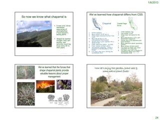 1/6/2013



                                                                                                  We’ve learned how chaparral differs from CSS
               So now we know what chaparral is

                                                                                                                        Chaparral              Coastal Sage
                                                                         A semi-arid, shrub                                                   Scrub
                                                                          dominated
                                                                          association of
                                                                          sclerophyllous                                                        1.   Cooler summers: fog
                                                                          (“hard-leaved”),        1.   Hotter summers                           2.   Less rainfall: 15-20”
                                                                          woody plants            2.   More rainfall: 20-40” per yr             3.   Often lower and nearer/on the
                                                                                                  3.   Often higher elevation/further from           coast
                                                                                                       coast                                    4.   More small shrubs (< 6 ft); soft-
                                                                         Shaped by summer        4.   More tall shrubs (> 6 ft);                    leaved (‘soft chaparral’)
                                                                          drought, mild, wet           sclerophyllous (hard-leaved)             5.   Shrubs tend to be separated with
                                                                                                  5.   Shrubs tend to grow together into a           space between
                                                                          winters, and                 dense thicket                            6.   More understory plants: perennials,
                                                                          naturally recurring     6.   Fewer understory plants – too dark            grasses
                                                                          fires every 30 to       7.   Fewer summer-dormant plants              7.   Many summer-dormant plants
                                                                          150+ years.             8.   Successional community – tends to        8.   Can remain as stable CSS climax
                                                                                                       progress to Oak Woodland or Pine              community for a long time
http://en.wikipedia.org/wiki/File:Chaparral1.jpg


                                                                                                       Forest                                   9.   Fire plays a key role in clearing out
                                                                                                  9.   Fire plays a key role in ‘setting the         underbrush; lesser role in the
                                                                                © Project SOUND
                                                                                                       successional clock’                           ‘successional clock’ © Project SOUND




                                                       We’ve learned that the forces that                  Now let’s enjoy the garden, plant sale &
                                                        shape chaparral plants provide                            some native plant foods!
                                                        valuable lessons about proper
                                                                 management
http://www.flickr.com/photos/12978266@N00/3277102378




                                                                                © Project SOUND                                                                          © Project SOUND




                                                                                                                                                                                                  24
 