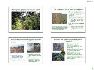 1/6/2013




       Walking through chaparral requires a path                                                                                                   The topography has an effect on vegetation
                                                                                                                                                                                                                            The aspect of a hillside
                                                                                                                                                                                                                             makes a great difference in
                                                                                                                                                                                                                             the composition of the
                                                                                                                                                                                                                             chaparral.
                                                                                                                                                                                                                            North facing slopes are a
                                                                                                                                                                                                                             lot moister
                                                                                                                                                                                                                                Toyon, Manzanita, Scrub oak,
                                                                                                                                                                                                                                 Pitcher sage, Kekiella , and
                                                                                                                                                                                                                                 Poison oak.
                                                                                                                                                                                                                            The south facing slopes are
                                                                                                                                                                                                                             arid:
                                                                                                                                             Remember: aspect also is important                                                 Dominated by Chamise, Black
                                                                                                                                             in CSS – both are plant communities                                                 sage, Woolly blue curls and
                                                                                                                                                                                                                                 Bush poppy, (Dendromecon
                                                                                                                                             sensitive to topography (both have                                                  rigida).
            http://blogs.getty.edu/iris/
                                                                                                                                             ‘sun’ and ‘part-shade’ plants)
                                                                                                                           © Project SOUND                                                                                                       © Project SOUND




   How do chaparral/coastal sage scrub differ?                                                                                                       Evidence that fire has played a key role in
    Chaparral                                                                Coastal Sage Scrub                                                                       Chaparral
                                                                                                                                                                                                                         Even-age ‘stands’ of
                                                                                                                                                                                                                          vegetation – suggests
                                                                                                                                                                                                                          recruitment/sprouting only
                                                                                                                                                                                                                          after fire
                                                                                                                                                                                                                         Long-lived seeds that require
                                                                                                                                                                                                                          fire/smoke to germinate
                                                                                                                                                http://www.flickr.com/photos/52509763@N00/310103199/

                                                                             http://palosverdessource.com/tag/rancho-palos-verdes/
                                                                                                                                                                                                                         Rapid regeneration from
 http://www.desertmuseum.org/desert/habitats/chap/chapgallery.php?print=y                                                                                                                                                 specialized re-sprouting
                                                                            9. Can remain as stable CSS                                                                                                                   organs – ‘burls’/lignotubers
9. Successional community –                                                     climax community for a long
    tends to progress to Oak                                                                                                                                                                                             Presence of fire-follower
                                                                                time
    Woodland or Pine Forest                                                                                                                                                                                               species – endemic to post-fire
                                                                            10. Fire plays a key role in                                                                                                                  years/regions
10. Fire plays a key role in                                                    clearing out underbrush;
    ‘setting the successional clock’                                            lesser role in the setting
                                                                                ‘successional clock’ SOUND
                                                                                                                                             http://www.desertmuseum.org/desert/habitats/chap/chapgallery.php?print=y
                                                                                                 © Project                                                                                                                                       © Project SOUND




                                                                                                                                                                                                                                                                         4
 