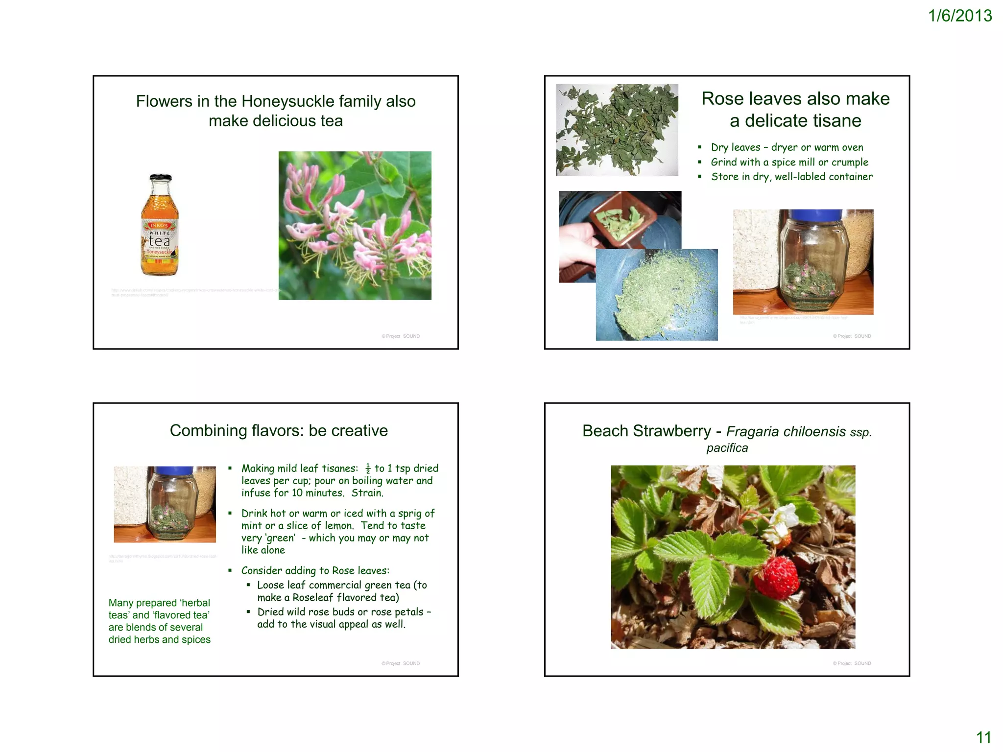 1/6/2013




              Flowers in the Honeysuckle family also                                                                             Rose leaves also make
                        make delicious tea                                                                                          a delicate tisane
                                                                                                                                  Dry leaves – dryer or warm oven
                                                                                                                                  Grind with a spice mill or crumple
                                                                                                                                  Store in dry, well-labled container




 http://www.delish.com/recipes/cooking-recipes/inkos-unsweetened-honesuckle-white-iced-tea-
 best-processed-foods#fbIndex9




                                                                                                                                         http://tarragonnthyme.blogspot.com/2010/06/dried-rose-leaf-
                                                                                                                                         tea.html


                                                                                              © Project SOUND                                                                              © Project SOUND




                                 Combining flavors: be creative                                                 Beach Strawberry - Fragaria chiloensis ssp.
                                                                                                                                  pacifica
                                                               Making mild leaf tisanes: ½ to 1 tsp dried
                                                                leaves per cup; pour on boiling water and
                                                                infuse for 10 minutes. Strain.

                                                               Drink hot or warm or iced with a sprig of
                                                                mint or a slice of lemon. Tend to taste
                                                                very ‘green’ - which you may or may not
http://tarragonnthyme.blogspot.com/2010/06/dried-rose-leaf-
                                                                like alone
tea.html

                                                               Consider adding to Rose leaves:
                                                                  Loose leaf commercial green tea (to
                                                                   make a Roseleaf flavored tea)
Many prepared ‘herbal
teas’ and ‘flavored tea’                                          Dried wild rose buds or rose petals –
are blends of several                                              add to the visual appeal as well.
dried herbs and spices

                                                                                              © Project SOUND                                                                              © Project SOUND




                                                                                                                                                                                                                  11
 