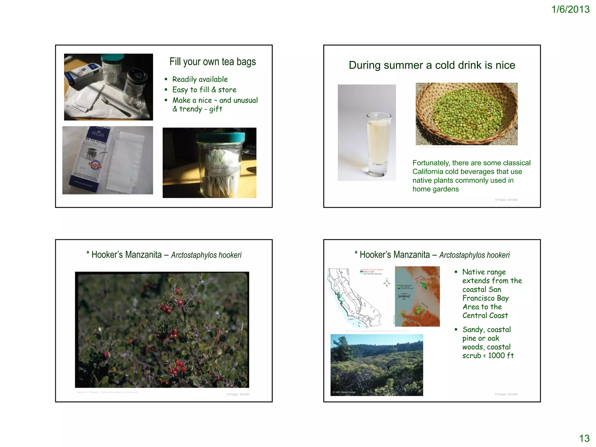 1/6/2013




                                                       Fill your own tea bags                          During summer a cold drink is nice
                                                       Readily available
                                                       Easy to fill & store
                                                       Make a nice – and unusual
                                                        & trendy - gift




                                                                                                                                                                             http://honest-food.net/2010/08/22/manzanita-cider/




                                                                                                                                                                           Fortunately, there are some classical
                                                                                                                                                                           California cold beverages that use
                                                                                                                                                                           native plants commonly used in
                                                                                                                                                                           home gardens
                                                                                                                                                                                                                                  © Project SOUND




       * Hooker’s Manzanita – Arctostaphylos hookeri                                                         * Hooker’s Manzanita – Arctostaphylos hookeri
                                                                                                                                                                                                             Native range
                                                                                                                                                                                                              extends from the
                                                                                                                                                                                                              coastal San
                                                                                                                                                                                                              Francisco Bay
                                                                                                                                                                                                              Area to the
                                                                                                                                                                                                              Central Coast
                                                                                                    http://www.elkhornsloughctp.org/factsheet/factsheet.php?SPECIES_ID=1                                     Sandy, coastal
                                                                                                                                                                                                              pine or oak
                                                                                                                                                                                                              woods, coastal
                                                                                                                                                                                                              scrub < 1000 ft



Beatrice F. Howitt © California Academy of Sciences                                       © 1991 David Graber
                                                                        © Project SOUND                                                                                                                                           © Project SOUND




                                                                                                                                                                                                                                                         13
 