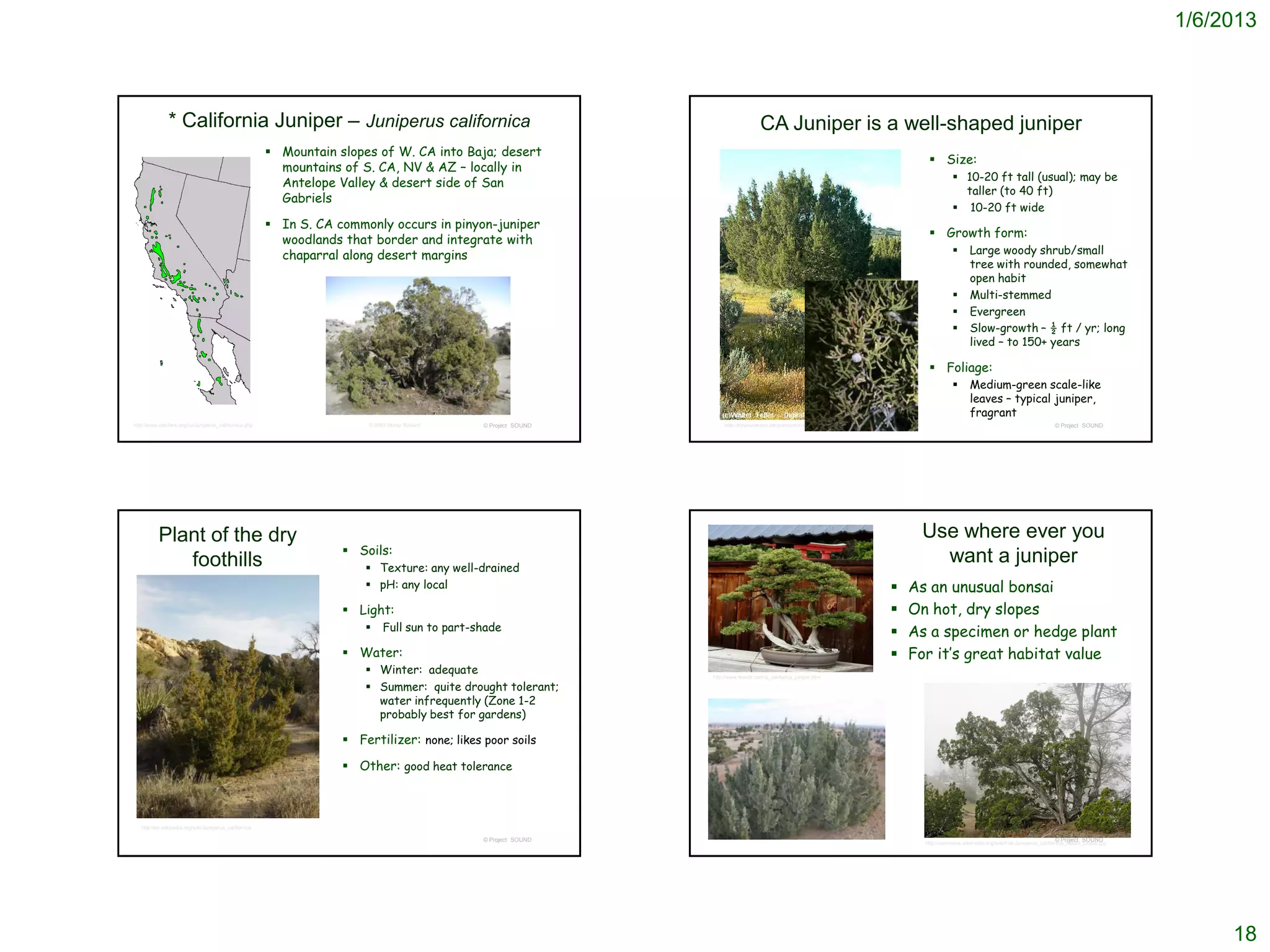 1/6/2013



               * California Juniper – Juniperus californica                                                                           CA Juniper is a well-shaped juniper
                                                         Mountain slopes of W. CA into Baja; desert
                                                                                                                                                                                    Size:
                                                          mountains of S. CA, NV & AZ – locally in
                                                                                                                                                                                              10-20 ft tall (usual); may be
                                                          Antelope Valley & desert side of San
                                                                                                                                                                                               taller (to 40 ft)
                                                          Gabriels
                                                                                                                                                                                              10-20 ft wide
                                                         In S. CA commonly occurs in pinyon-juniper
                                                                                                                                                                                    Growth form:
                                                          woodlands that border and integrate with
                                                          chaparral along desert margins                                                                                                           Large woody shrub/small
                                                                                                                                                                                                    tree with rounded, somewhat
                                                                                                                                                                                                    open habit
                                                                                                                                                                                                   Multi-stemmed
                                                                                                                                                                                                   Evergreen
                                                                                                                                                                                                   Slow-growth – ½ ft / yr; long
                                                                                                                                                                                                    lived – to 150+ years

                                                                                                                                                                                    Foliage:
                                                                                                                                                                                                   Medium-green scale-like
                                                                                                                                                                                                    leaves – typical juniper,
                                                                                                                                                                                                    fragrant
http://www.conifers.org/cu/Juniperus_californica.php                     © 2003 Monty Rickard   © Project SOUND        http://mojavedesert.net/plants/shrubs/juniper.html                                                                © Project SOUND




          Plant of the dry                                                                                                                                                       Use where ever you
                                                                     Soils:
             foothills                                                   Texture: any well-drained
                                                                                                                                                                                   want a juniper
                                                                         pH: any local                                                                                        As an unusual bonsai
                                                                     Light:                                                                                                   On hot, dry slopes
                                                                             Full sun to part-shade                                                                           As a specimen or hedge plant
                                                                     Water:                                                                                                   For it’s great habitat value
                                                                         Winter: adequate                        http://www.fourdir.com/p_california_juniper.htm

                                                                         Summer: quite drought tolerant;
                                                                          water infrequently (Zone 1-2
                                                                          probably best for gardens)

                                                                     Fertilizer: none; likes poor soils

                                                                     Other: good heat tolerance



   http://en.wikipedia.org/wiki/Juniperus_californica

                                                                                                © Project SOUND                                                                                                                          © Project SOUND
                                                                                                                                                                                  http://commons.wikimedia.org/wiki/File:Juniperus_californica_Mount_Diablo.jpg




                                                                                                                                                                                                                                                                       18
 
