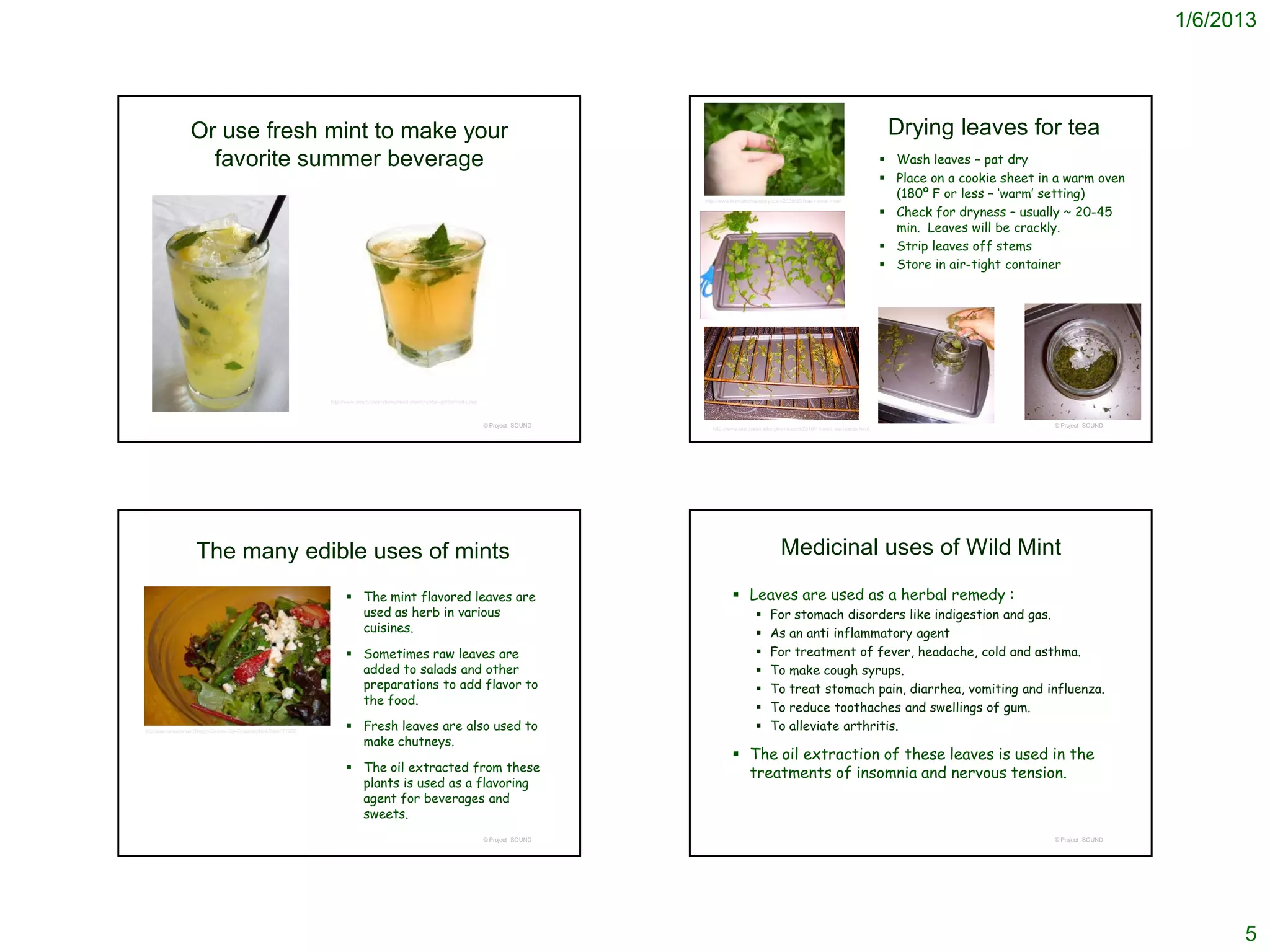 1/6/2013




                     Or use fresh mint to make your                                                                                                                                                                               Drying leaves for tea
                       favorite summer beverage                                                                                                                                                                                   Wash leaves – pat dry
                                                                                                                                                                                                                                  Place on a cookie sheet in a warm oven
                                                                                                                                                            http://www.howipinchapenny.com/2009/06/how-i-save-mint/
                                                                                                                                                                                                                                   (180º F or less – ‘warm’ setting)
                                                                                                                                                                                                                                  Check for dryness – usually ~ 20-45
                                                                                                                                                                                                                                   min. Leaves will be crackly.
                                                                                                                                                                                                                                  Strip leaves off stems
                                                                                                                                                                                                                                  Store in air-tight container




                                                                           http://www.amctv.com/shows/mad-men/cocktail-guide/mint-julep



                                                                                                                                          © Project SOUND                                                                                                    © Project SOUND
                                                                                                                                                               http://www.twentysomethinghome.com/2010/11/mint-tea-leaves.html




                        The many edible uses of mints                                                                                                                                     Medicinal uses of Wild Mint

                                                                                  The mint flavored leaves are                                                        Leaves are used as a herbal remedy :
                                                                                   used as herb in various                                                                           For stomach disorders like indigestion and gas.
                                                                                   cuisines.                                                                                         As an anti inflammatory agent
                                                                                  Sometimes raw leaves are                                                                          For treatment of fever, headache, cold and asthma.
                                                                                   added to salads and other                                                                         To make cough syrups.
                                                                                   preparations to add flavor to                                                                     To treat stomach pain, diarrhea, vomiting and influenza.
                                                                                   the food.
                                                                                                                                                                                     To reduce toothaches and swellings of gum.
http://www.yumsugar.com/Snappy-Summer-Side-Strawberry-Mint-Salad-1713036
                                                                                  Fresh leaves are also used to                                                                     To alleviate arthritis.
                                                                                   make chutneys.
                                                                                                                                                                       The oil extraction of these leaves is used in the
                                                                                  The oil extracted from these                                                         treatments of insomnia and nervous tension.
                                                                                   plants is used as a flavoring
                                                                                   agent for beverages and
                                                                                   sweets.
                                                                                                                                          © Project SOUND                                                                                                    © Project SOUND




                                                                                                                                                                                                                                                                                     5
 