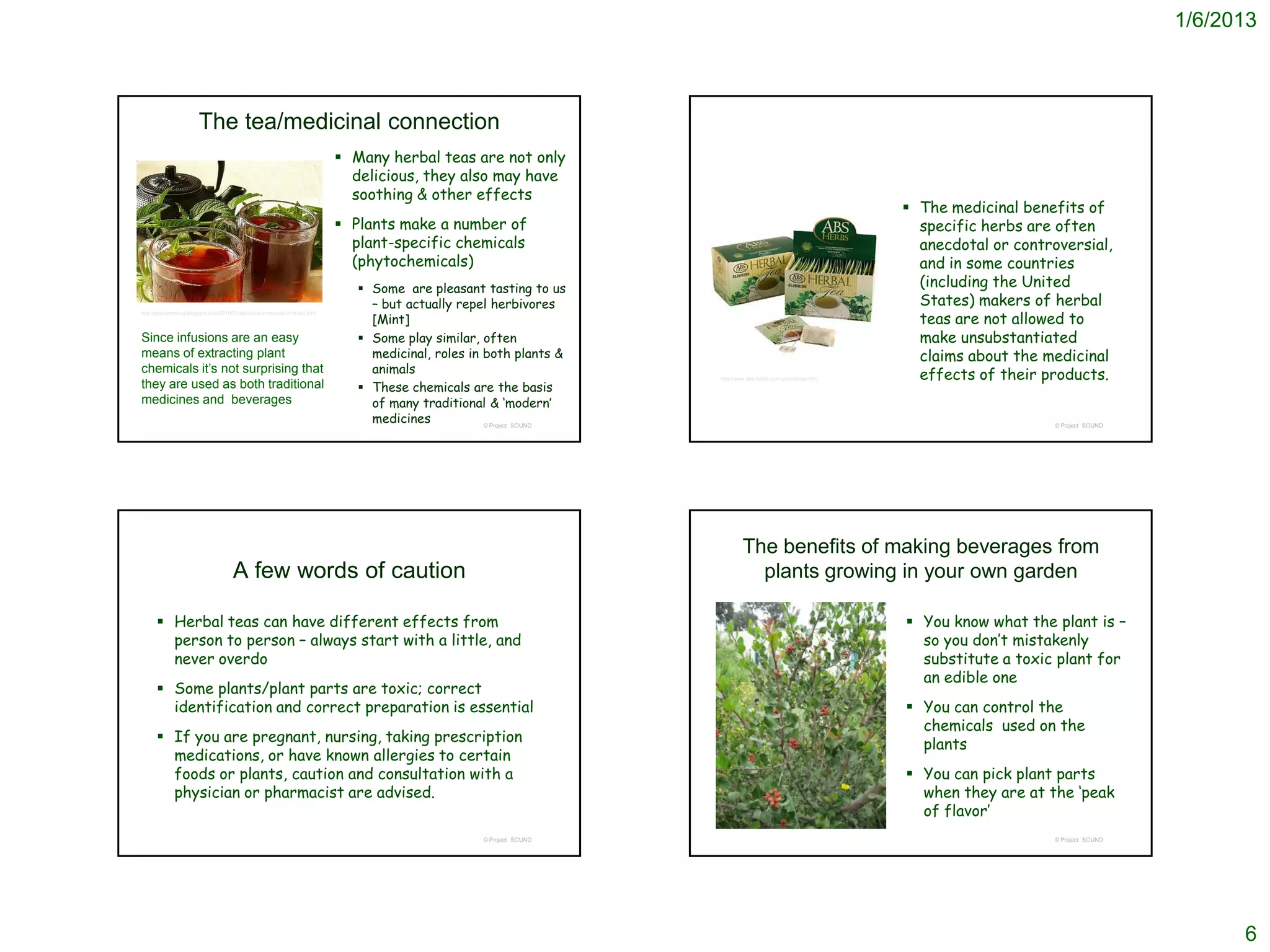 1/6/2013



                       The tea/medicinal connection
                                                                             Many herbal teas are not only
                                                                              delicious, they also may have
                                                                              soothing & other effects
                                                                                                                                                                   The medicinal benefits of
                                                                             Plants make a number of                                                               specific herbs are often
                                                                              plant-specific chemicals                                                              anecdotal or controversial,
                                                                              (phytochemicals)                                                                      and in some countries
                                                                                Some are pleasant tasting to us                                                    (including the United
                                                                                 – but actually repel herbivores                                                    States) makers of herbal
                                                                                 [Mint]                                                                             teas are not allowed to
http://peacecooking.blogspot.com/2010/01/delicious-moroccan-mint-tea.html




Since infusions are an easy                                                     Some play similar, often                                                           make unsubstantiated
means of extracting plant                                                        medicinal, roles in both plants &                                                  claims about the medicinal
chemicals it’s not surprising that                                               animals                                                                            effects of their products.
                                                                                                                       http://www.abs-herbs.com.ph/prod-tea.htm
they are used as both traditional                                               These chemicals are the basis
medicines and beverages                                                          of many traditional & ‘modern’
                                                                                 medicines           © Project SOUND                                                                   © Project SOUND




                                                                                                                                The benefits of making beverages from
                                      A few words of caution                                                                      plants growing in your own garden

       Herbal teas can have different effects from                                                                                                                You know what the plant is –
        person to person – always start with a little, and                                                                                                          so you don’t mistakenly
        never overdo                                                                                                                                                substitute a toxic plant for
                                                                                                                                                                    an edible one
       Some plants/plant parts are toxic; correct
        identification and correct preparation is essential                                                                                                        You can control the
                                                                                                                                                                    chemicals used on the
       If you are pregnant, nursing, taking prescription                                                                                                           plants
        medications, or have known allergies to certain
        foods or plants, caution and consultation with a                                                                                                           You can pick plant parts
        physician or pharmacist are advised.                                                                                                                        when they are at the ‘peak
                                                                                                                                                                    of flavor’
                                                                                                     © Project SOUND                                                                   © Project SOUND




                                                                                                                                                                                                               6
 