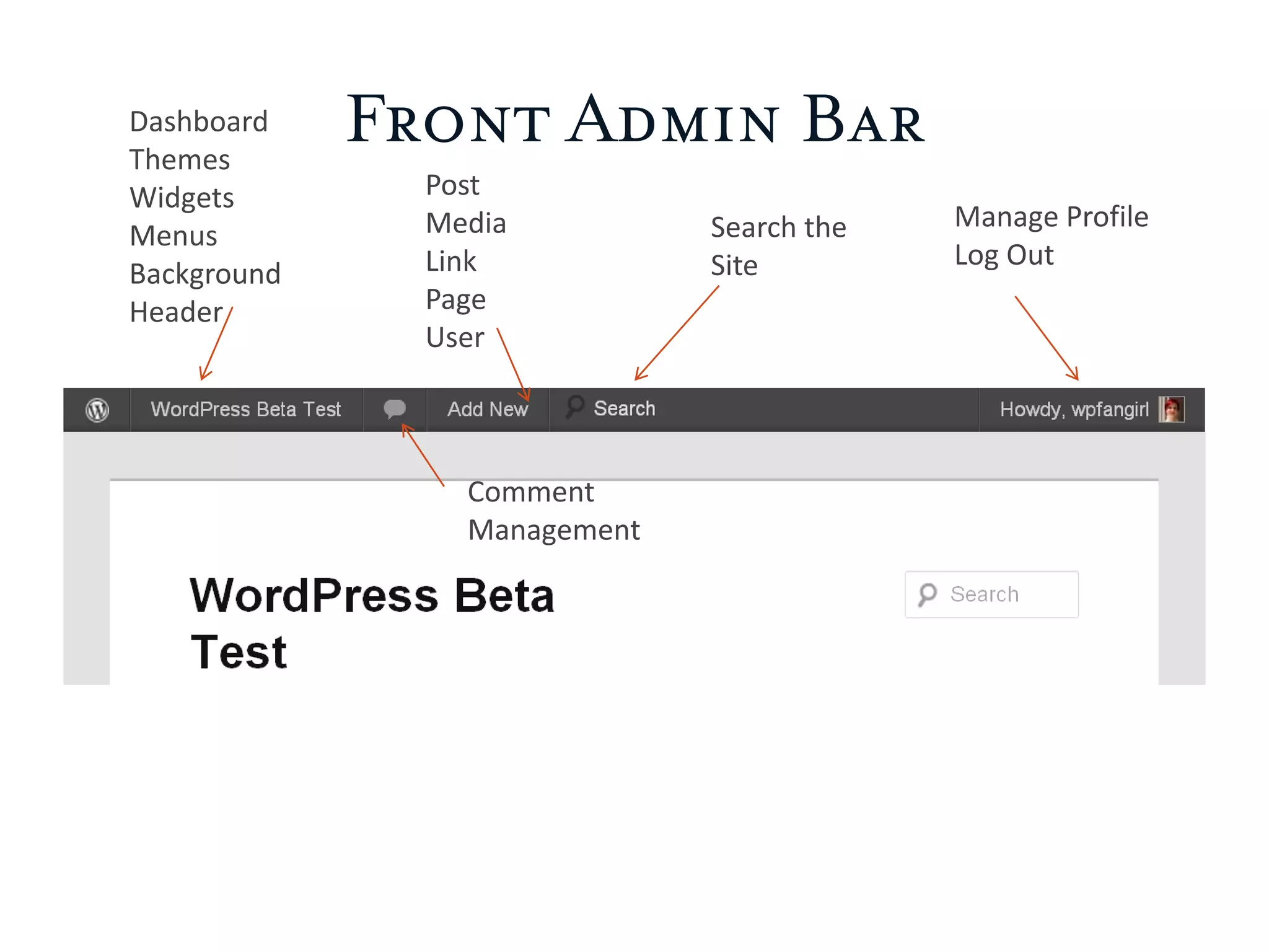 Dashboard
Themes
Front Admin Bar
Widgets Post
Media Search the Manage Profile
Menus
Link Site Log Out
Background
Header Page
User
Comment
Management