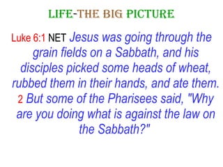 LIFE - THE   BIG   PICTURE Luke 6:1  NET   Jesus was going through the grain fields on a Sabbath, and his disciples picked some heads of wheat, rubbed them in their hands, and ate them.   2   But some of the Pharisees said, "Why are you doing what is against the law on the Sabbath?"   