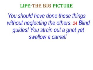 LIFE - THE   BIG   PICTURE You should have done these things without neglecting the others.  24   Blind guides! You strain out a gnat yet swallow a camel!   