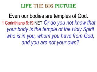 LIFE - THE   BIG   PICTURE Even our bodies are temples of God. 1 Corinthians 6:19  NET   Or do you not know that your body is the temple of the Holy Spirit who is in you, whom you have from God, and you are not your own? 