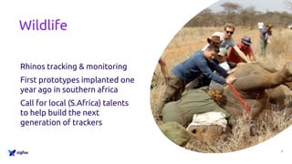 Wildlife
Rhinos tracking & monitoring
First prototypes implanted one
year ago in southern africa
Call for local (S.Africa) talents
to help build the next
generation of trackers
7
 