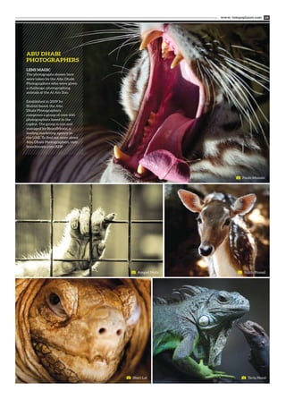 ABU DHABI
PHOTOGRAPHERS
www. tempoplanet.com 09
Paulo Manalo
Amgad Nady
Sheri Lal Tariq Nazal
Sujith Prasad
LENS MAGIC
The photographs shown here
were taken by the Abu Dhabi
Photographers who were given
a challenge: photographing
animals at the Al Ain Zoo.
Established in 2009 by
Shahid Saeed, the Abu
Dhabi Photographers
comprises a group of over 600
photographers based in the
capital. The group is run and
managed by BrandMoxie, a
leading marketing agency in
the UAE. To find out more about
Abu Dhabi Photographers, visit:
brandmoxie.com/ADP
 