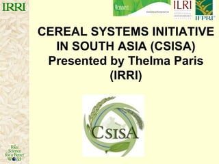 CEREAL SYSTEMS INITIATIVE
  IN SOUTH ASIA (CSISA)
 Presented by Thelma Paris
           (IRRI)
 