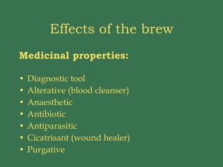 Effects of the brew Medicinal properties: Diagnostic tool Alterative (blood cleanser) Anaesthetic Antibiotic  Antiparasitic Cicatrisant (wound healer) Purgative 