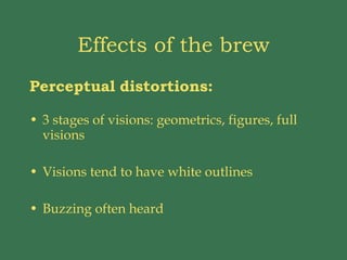Effects of the brew Perceptual   distortions: 3 stages of visions: geometrics, figures, full visions Visions tend to have white outlines Buzzing often heard 