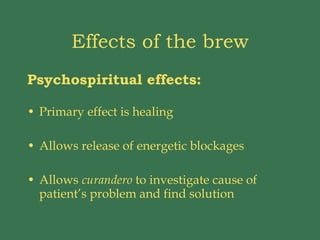 Effects of the brew Psychospiritual effects: Primary effect is healing Allows release of energetic blockages Allows  curandero  to investigate cause of patient’s problem and find solution 