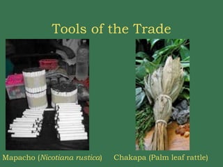 Tools of the Trade Mapacho ( Nicotiana rustica )  Chakapa (Palm leaf rattle)  