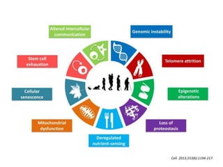 Cell. 2013;153(6):1194-217.
 