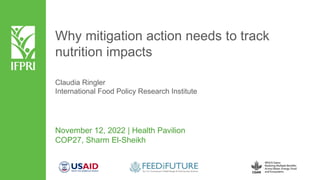 Claudia Ringler
International Food Policy Research Institute
November 12, 2022 | Health Pavilion
COP27, Sharm El-Sheikh
Why mitigation action needs to track
nutrition impacts
 