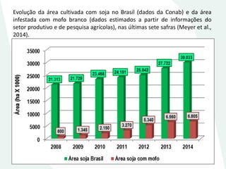 Evolução da área cultivada com soja no Brasil (dados da Conab) e da área infestada com mofo branco (dados estimados a partir de informações do setor produtivo e de pesquisa agrícolas), nas últimas sete safras (Meyer et al., 2014).  