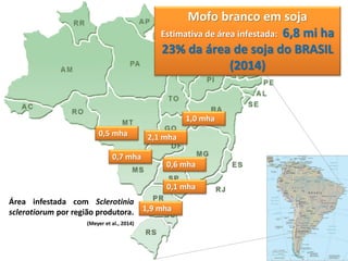 Material e Methods 1,0 mha 2,1 mha 0,5 mha 0,7 mha 0,6 mha 1,9 mha 
Área infestada com Sclerotinia sclerotiorum por região produtora. 
(Meyer et al., 2014) Mofo branco em soja Estimativa de área infestada: 6,8 mi ha 23% da área de soja do BRASIL (2014) 0,1 mha  