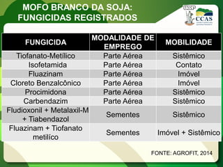 MOFO BRANCO DA SOJA: FUNGICIDAS REGISTRADOS 
FONTE: AGROFIT, 2014 
FUNGICIDA 
MODALIDADE DE EMPREGO 
MOBILIDADE 
Tiofanato-Metílico 
Parte Aérea 
Sistêmico 
Isofetamida 
Parte Aérea 
Contato 
Fluazinam 
Parte Aérea 
Imóvel 
Cloreto Benzalcônico 
Parte Aérea 
Imóvel 
Procimidona 
Parte Aérea 
Sistêmico 
Carbendazim 
Parte Aérea 
Sistêmico 
Fludioxonil + Metalaxil-M + Tiabendazol 
Sementes 
Sistêmico 
Fluazinam + Tiofanato metilíco 
Sementes 
Imóvel + Sistêmico  