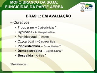 MOFO BRANCO DA SOJA: FUNGICIDAS DA PARTE AÉREA 
–Curativos: 
•Fluopyram – Carboximidas * 
•Cyprodinil - Anilinopirimidina 
•Penthiopyrad - Pirazole 
•Oxycarboxin - Carboxanilida 
•Picoxistrobina – Estrobilurina * 
•Demoxistrobina – Estrobilurina * 
•Boscalida – Anilida * 
*Promissores. 
BRASIL: EM AVALIAÇÃO  