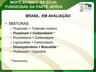 MOFO BRANCO DA SOJA: FUNGICIDAS DA PARTE AÉREA 
•MISTURAS: 
–Fluazinam + Tiofanato metílico 
–Fluazinam + Carbendazim * 
–Procimidona + Carbendazim 
–Lignosulfato + Carbendazim 
–Dimoxystrobina + Boscalida * 
–Fludioxonil + Ciprodinil. 
* Promissores. 
BRASIL: EM AVALIAÇÃO  