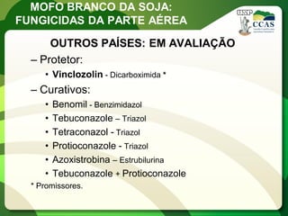 MOFO BRANCO DA SOJA: FUNGICIDAS DA PARTE AÉREA 
–Protetor: 
•Vinclozolin - Dicarboximida * 
–Curativos: 
•Benomil - Benzimidazol 
•Tebuconazole – Triazol 
•Tetraconazol - Triazol 
•Protioconazole - Triazol 
•Azoxistrobina – Estrubilurina 
•Tebuconazole + Protioconazole 
* Promissores. 
OUTROS PAÍSES: EM AVALIAÇÃO  