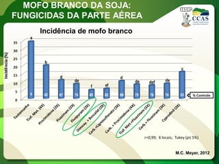 r=0,99; 6 locais; Tukey (p≤ 5%) 
M.C. Meyer, 2012 
Incidência de mofo branco 
MOFO BRANCO DA SOJA: FUNGICIDAS DA PARTE AÉREA  