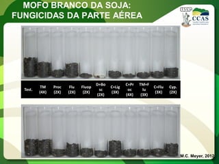 Test. 
TM (4X) 
Proc (2X) 
Flu (2X) 
Fluop (2X) 
D+Bosc (2X) 
C+Lig (3X) 
C+Proc (4X) 
TM+Flu (3X) 
C+Flu (3X) 
Cyp. (2X) 
M.C. Meyer, 2012 
MOFO BRANCO DA SOJA: FUNGICIDAS DA PARTE AÉREA  