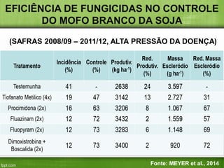 EFICIÊNCIA DE FUNGICIDAS NO CONTROLE DO MOFO BRANCO DA SOJA 
(SAFRAS 2008/09 – 2011/12, ALTA PRESSÃO DA DOENÇA) 
Fonte: MEYER et al., 2014  