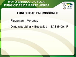 FUNGICIDAS PROMISSORES 
–Fluopyran – Verango 
–Dimoxystrobina + Boscalida – BAS 54001 F 
MOFO BRANCO DA SOJA: FUNGICIDAS DA PARTE AÉREA  