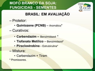MOFO BRANCO DA SOJA: 
FUNGICIDAS - SEMENTES 
BRASIL: EM AVALIAÇÃO 
–Protetor: 
•Quintozene (PCNB) – Aromático* 
–Curativos: 
•Carbendazim – Benzimidazol * 
•Tiofanato Metílico – Benzimidazol* 
•Piraclostrobina - Estrubirulina* 
–Mistura: 
•Carbendazim + Tiram 
* Promissores.  
