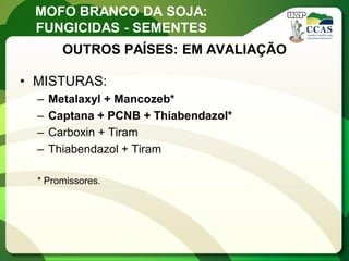 MOFO BRANCO DA SOJA: FUNGICIDAS - SEMENTES 
OUTROS PAÍSES: EM AVALIAÇÃO 
•MISTURAS: 
–Metalaxyl + Mancozeb* 
–Captana + PCNB + Thiabendazol* 
–Carboxin + Tiram 
–Thiabendazol + Tiram * Promissores.  
