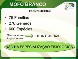 •75 Famílias 
•278 Gêneros 
•600 Espécies 
MOFO BRANCO 
HOSPEDEIROS 
Gimnospermas 
Angiospermas 
FOLHAS LARGAS 
NÃO HÁ ESPECIALIZAÇÃO FISIOLÓGICA  