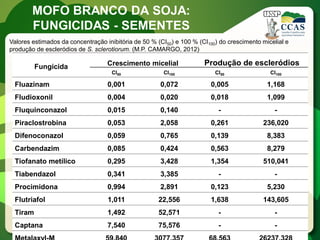 Fungicida 
Crescimento micelial 
Produção de escleródios 
CI50 
CI100 
CI50 
CI100 
Fluazinam 
0,001 
0,072 
0,005 
1,168 
Fludioxonil 
0,004 
0,020 
0,018 
1,099 
Fluquinconazol 
0,015 
0,140 
- 
- 
Piraclostrobina 
0,053 
2,058 
0,261 
236,020 
Difenoconazol 
0,059 
0,765 
0,139 
8,383 
Carbendazim 
0,085 
0,424 
0,563 
8,279 
Tiofanato metílico 
0,295 
3,428 
1,354 
510,041 
Tiabendazol 
0,341 
3,385 
- 
- 
Procimidona 
0,994 
2,891 
0,123 
5,230 
Flutriafol 
1,011 
22,556 
1,638 
143,605 
Tiram 
1,492 
52,571 
- 
- 
Captana 
7,540 
75,576 
- 
- 
Metalaxyl-M 
59,840 
3077,357 
68,563 
26237,328 
Valores estimados da concentração inibitória de 50 % (CI50) e 100 % (CI100) do crescimento micelial e produção de escleródios de S. sclerotiorum. (M.P. CAMARGO, 2012) 
MOFO BRANCO DA SOJA: 
FUNGICIDAS - SEMENTES  