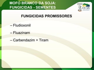 FUNGICIDAS PROMISSORES 
–Fludioxonil 
–Fluazinam 
–Carbendazim + Tiram 
MOFO BRANCO DA SOJA: FUNGICIDAS - SEMENTES  