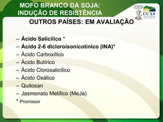 MOFO BRANCO DA SOJA: 
INDUÇÃO DE RESISTÊNCIA 
OUTROS PAÍSES: EM AVALIAÇÃO 
–Ácido Salicílico * 
–Ácido 2-6 dicloroisonicotínico (INA)* 
–Ácido Carboxílico 
–Ácido Butírico 
–Ácido Clorosalicílico 
–Ácido Oxálico 
–Quitosan 
–Jasmonato Metílico (MeJa) 
* Promissor  