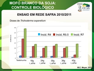 MOFO BRANCO DA SOJA: 
CONTROLE BIOLÓGICO 
Doses de Trichoderma asperellum 
ENSAIO EM REDE SAFRA 2010/2011 
M.C. Meyer, 2012 
Incid. R4 Incid, R5.5 Incid. R7 
Testemunha 
18g 
i,.a/ha 
24g 
i,.a/ha 
30g 
i,.a/ha 
36g 
i,.a/ha 
42g 
i,.a/ha  
