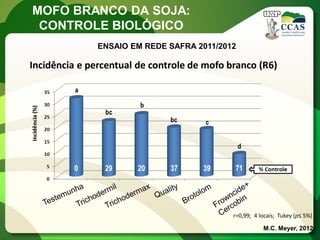 MOFO BRANCO DA SOJA: 
CONTROLE BIOLÓGICO 
M.C. Meyer, 2012 
Incidência e percentual de controle de mofo branco (R6) 
r=0,99; 4 locais; Tukey (p≤ 5%) 
ENSAIO EM REDE SAFRA 2011/2012  