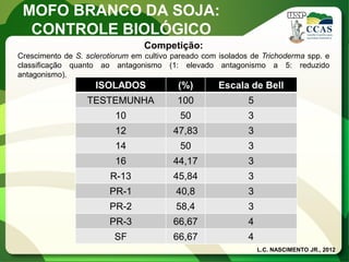 Competição: 
Crescimento de S. sclerotiorum em cultivo pareado com isolados de Trichoderma spp. e classificação quanto ao antagonismo (1: elevado antagonismo a 5: reduzido antagonismo). 
ISOLADOS 
(%) 
Escala de Bell 
TESTEMUNHA 
100 
5 
10 
50 
3 
12 
47,83 
3 
14 
50 
3 
16 
44,17 
3 
R-13 
45,84 
3 
PR-1 
40,8 
3 
PR-2 
58,4 
3 
PR-3 
66,67 
4 
SF 
66,67 
4 
L.C. NASCIMENTO JR., 2012 
MOFO BRANCO DA SOJA: 
CONTROLE BIOLÓGICO  