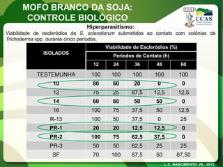 Hiperparasitismo: 
Viabilidade de escleródios de S. sclerotiorum submetidos ao contato com colônias de Trichoderma spp. durante cinco períodos. 
ISOLADOS 
Viabilidade de Escleródios (%) 
Períodos de Contato (h) 
12 
24 
36 
48 
60 
TESTEMUNHA 
100 
100 
100 
100 
100 
10 
80 
60 
20 
0 
0 
12 
75 
25 
87,5 
12,5 
12,5 
14 
60 
60 
50 
50 
0 
16 
100 
75 
37,5 
50 
12,5 
R-13 
100 
50 
37,5 
0 
25 
PR-1 
20 
20 
12,5 
12,5 
0 
PR-2 
100 
75 
62,5 
37,5 
0 
PR-3 
50 
50 
62,5 
25 
25 
SF 
70 
100 
87,5 
50 
87,50 
L.C. NASCIMENTO JR., 2012 
MOFO BRANCO DA SOJA: 
CONTROLE BIOLÓGICO  