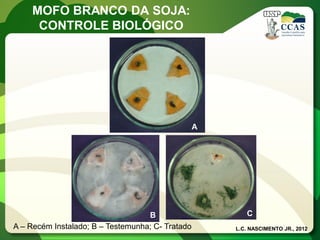 L.C. NASCIMENTO JR., 2012 
MOFO BRANCO DA SOJA: 
CONTROLE BIOLÓGICO 
A 
B 
C 
A – Recém Instalado; B – Testemunha; C- Tratado  