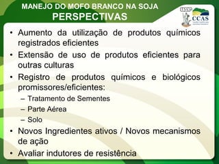 MANEJO DO MOFO BRANCO NA SOJA 
PERSPECTIVAS 
•Aumento da utilização de produtos químicos registrados eficientes 
•Extensão de uso de produtos eficientes para outras culturas 
•Registro de produtos químicos e biológicos promissores/eficientes: 
–Tratamento de Sementes 
–Parte Aérea 
–Solo 
•Novos Ingredientes ativos / Novos mecanismos de ação 
•Avaliar indutores de resistência  