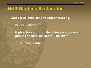 19
GATE 201449
N&S Gardens Restoration
• October 25-30th, 2016 volunteer planting:
• 278 volunteers
• High schools, corpor...