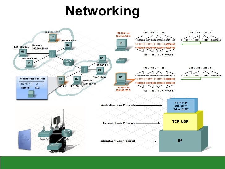 Programming & Networking