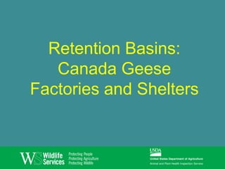 Retention Basins:
   Canada Geese
Factories and Shelters
 